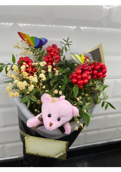 Kokina Çiçeği Aranjman Siyah Buket ( Kelebek -Ayıcık-Cipso ) fırsatları