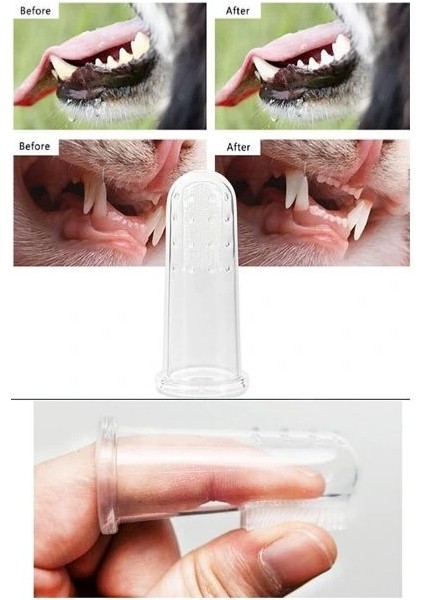 Buğz Kedi Köpek Diş Temizleme Fırçası fiyatları