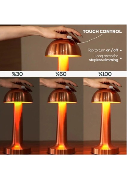 Buğz Mantar Dokunmatik LED Masa Lambası fiyatları