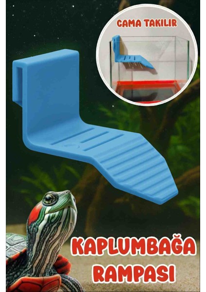 Kaplumbaga Rampası