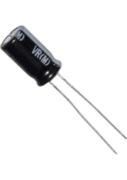 22 MF 100 V Kondansatör