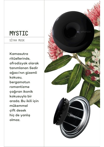 Araba Klima Kokusu, Spin Oto Kokusu 3'lü Set, 90 Gün Etkili Ara Kokusu - Mystic & Neutral & Angelic fiyatları