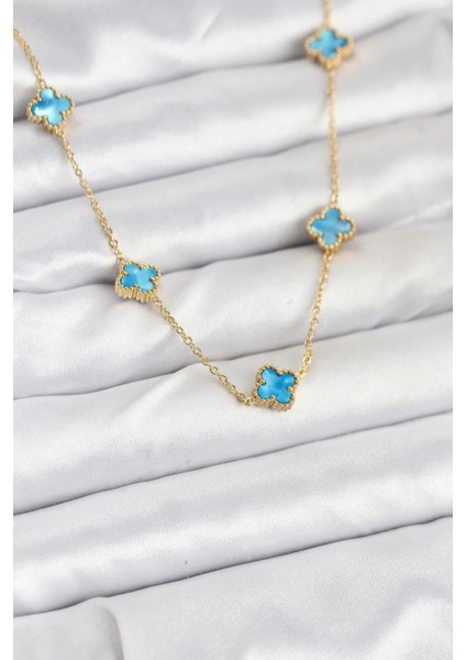 316L Çelik Zincir Gold Renk Buz Misi Baby Boy Yonca Kadın Kolye