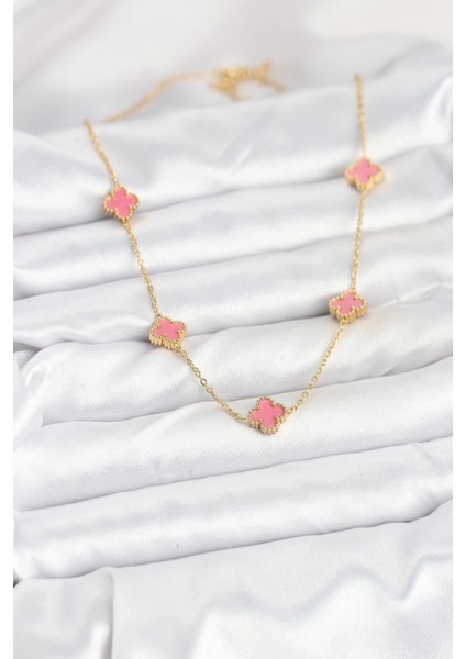 316L Çelik Zincir Gold Renk Pembe Baby Boy Yonca Kadın Kolye fiyatları