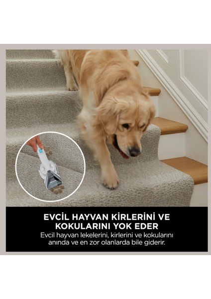 Ninja Kolay Taşınabilir Halı ve Koltuk Temizleme Makinesi Beyaz fırsatları