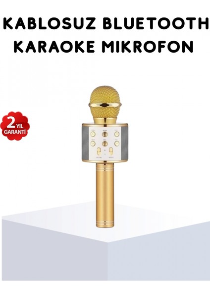 Karaoke Mikrofonu Bluetooth USB Aux Girişli Yankı Efektli