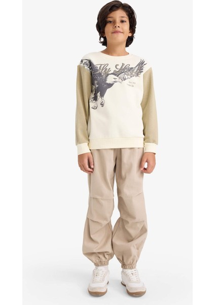 Erkek Çocuk Bisiklet Yaka Baskılı İçi Yumuşak Tüylü Sweatshirt G5554A825CW fiyatları