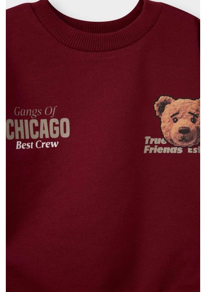 Erkek Bebek Ayı Baskılı Ince Sweatshirt Kumaşı 2li TAKIM G5203A525WN modelleri