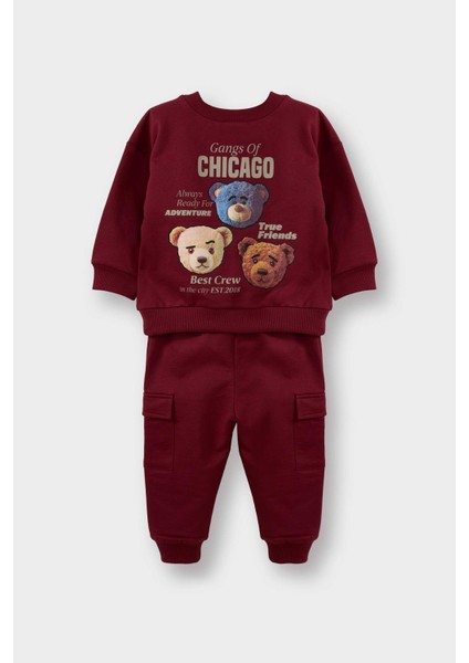 Erkek Bebek Ayı Baskılı Ince Sweatshirt Kumaşı 2li TAKIM G5203A525WN fırsatları