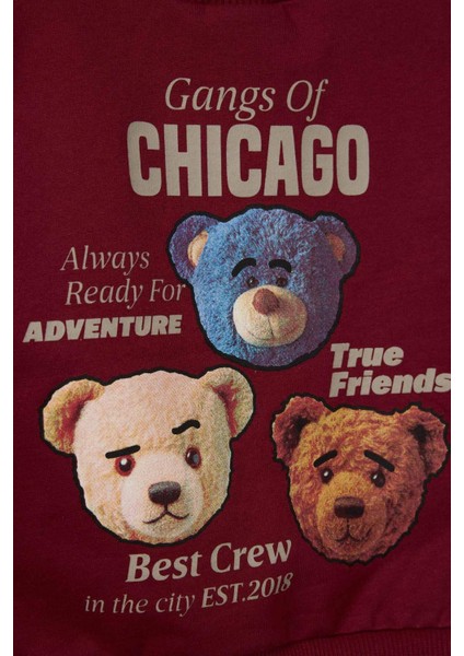 Erkek Bebek Ayı Baskılı Ince Sweatshirt Kumaşı 2li TAKIM G5203A525WN indirimleri