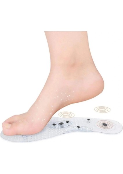 Manyetik Tabanlık ( Lisinya ) modelleri