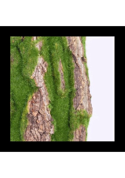 3x Simülasyon Ağaç Kabuğu Ev Kanalizasyon Dekorasyon Ağaç Kabuğu Yosun Düğün Dekorasyon Çim Duvar Yapay Bitkiler-B (Yurt Dışından) fırsatları