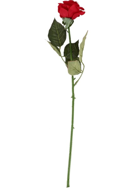 20 Pcs Lateks Gerçek Temas Gül Dekor Gülü Çiçekler Ipek Çiçekler Çiçek Düğün Buket Ev Tasarımı (Koyu Kırmızı) (Yurt Dışından) fiyatları