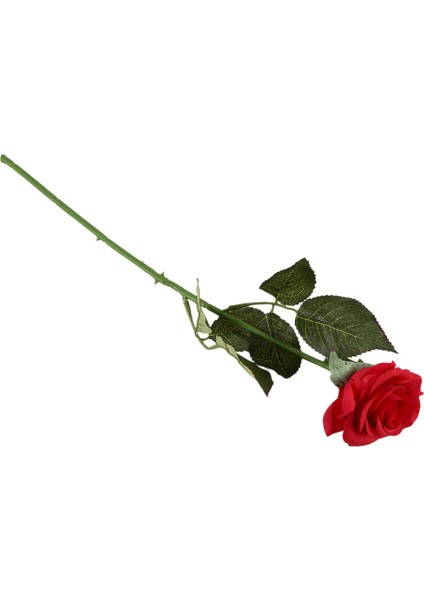 20 Pcs Lateks Gerçek Temas Gül Dekor Gülü Çiçekler Ipek Çiçekler Çiçek Düğün Buket Ev Tasarımı (Koyu Kırmızı) (Yurt Dışından) modelleri