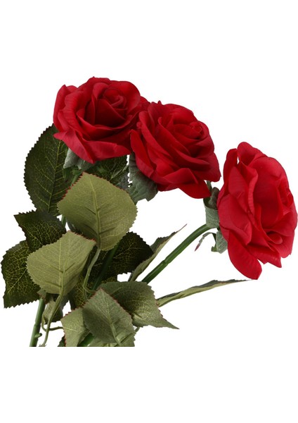 20 Pcs Lateks Gerçek Temas Gül Dekor Gülü Çiçekler Ipek Çiçekler Çiçek Düğün Buket Ev Tasarımı (Koyu Kırmızı) (Yurt Dışından) fırsatları