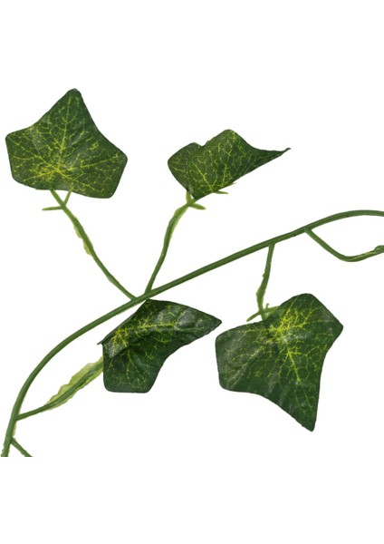 4x Yapay Sarmaşık Yaprak Yaprak Çiçek Bitkileri Çelenk Bahçe Dekorasyonu 2m (Tatlı Patates Yaprağı) (Yurt Dışından) fırsatları