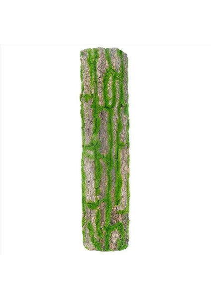 5x Yapay Kabuk Dekorasyonu Gerçek Kurutulmuş Çam Ağacı Kabuğu Yapay Yosunlu (Yurt Dışından) fiyatları