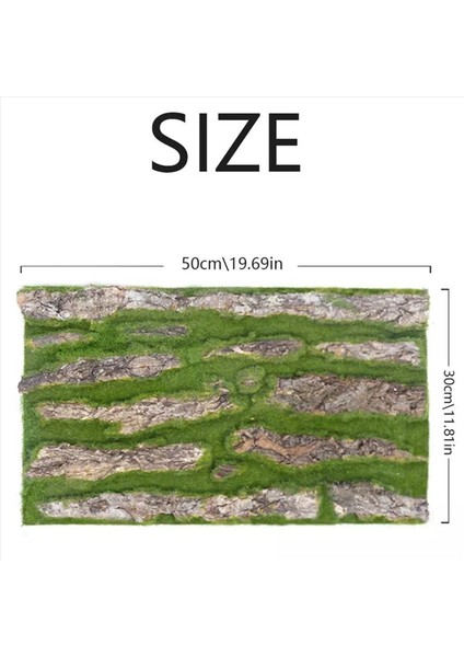 5x Yapay Kabuk Dekorasyonu Gerçek Kurutulmuş Çam Ağacı Kabuğu Yapay Yosunlu (Yurt Dışından) fırsatları