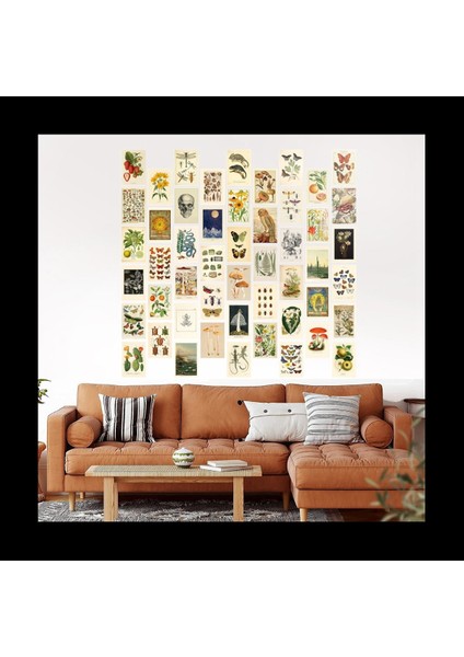 Vintage Estetik Duvar Kolaj Kiti - Modaya Uygun Fotoğraf Duvarı Için 100 Mini Botanik Cottagecore Kolaj Sanat Posterleri (4X6INCH) (Yurt Dışından) fiyatları