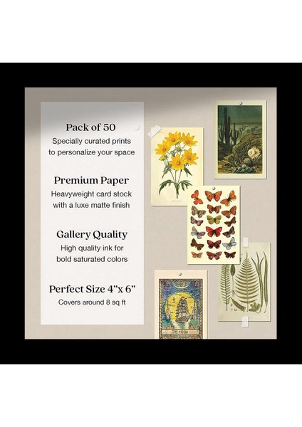 Vintage Estetik Duvar Kolaj Kiti - Modaya Uygun Fotoğraf Duvarı Için 100 Mini Botanik Cottagecore Kolaj Sanat Posterleri (4X6INCH) (Yurt Dışından) modelleri