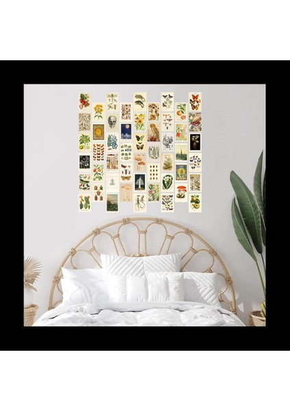 Vintage Estetik Duvar Kolaj Kiti - Modaya Uygun Fotoğraf Duvarı Için 100 Mini Botanik Cottagecore Kolaj Sanat Posterleri (4X6INCH) (Yurt Dışından) fırsatları