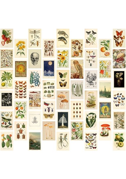 Vintage Estetik Duvar Kolaj Kiti - Modaya Uygun Fotoğraf Duvarı Için 50 Mini Botanik Cottagecore Kolaj Sanat Posterleri (4X6INCH) (Yurt Dışından)