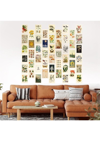Vintage Estetik Duvar Kolaj Kiti - Modaya Uygun Fotoğraf Duvarı Için 50 Mini Botanik Cottagecore Kolaj Sanat Posterleri (4X6INCH) (Yurt Dışından) fiyatları