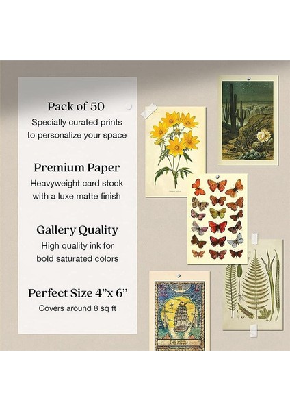 Vintage Estetik Duvar Kolaj Kiti - Modaya Uygun Fotoğraf Duvarı Için 50 Mini Botanik Cottagecore Kolaj Sanat Posterleri (4X6INCH) (Yurt Dışından) modelleri