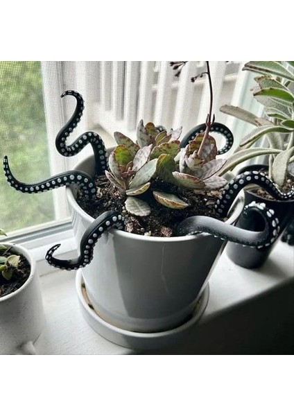 Tentacle Bitki Dekorasyonu Ahtapot Bitki Tentacle Sanat Ahtapot Iç Dekorasyon Bahçesi Bitki Süsleri Mavi (Yurt Dışından) fiyatları