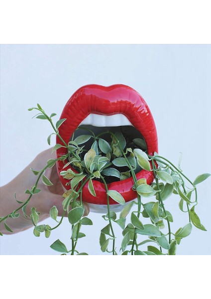 3x Yaratıcı Etli Kaktüs Pot Seramik Küçük Çiçek Bitkileri Kaplar Ev Ofis Için Büyük Dudaklar Ekici Kırmızı (Yurt Dışından) fırsatları