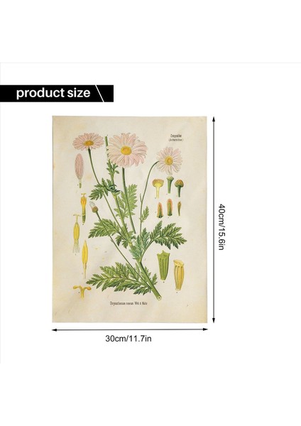 3pcs Çiçek Goblen Duvarı Asılı Kır Çiçeği Bitki Çiçek Goblen Grafiği Yatak Odası Oturma Odası Için Küçük Goblen (A+B+E) (Yurt Dışından)