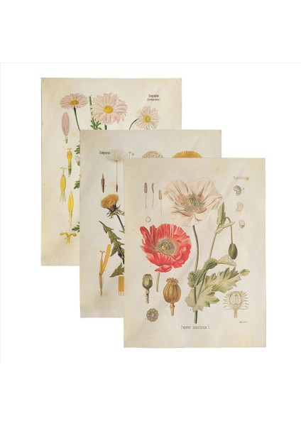 3pcs Çiçek Goblen Duvarı Asılı Kır Çiçeği Bitki Çiçek Goblen Grafiği Yatak Odası Oturma Odası Için Küçük Goblen (A+B+E) (Yurt Dışından) modelleri