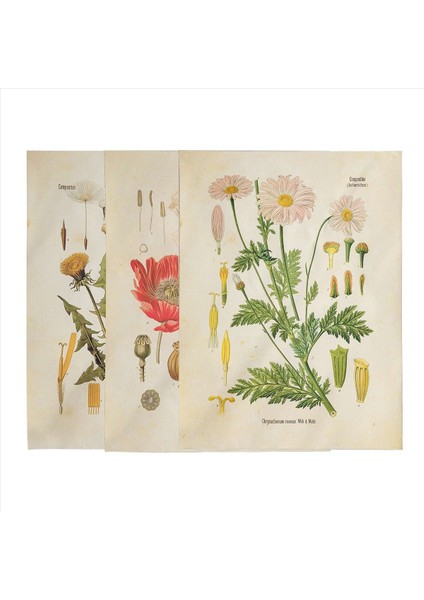 3pcs Çiçek Goblen Duvarı Asılı Kır Çiçeği Bitki Çiçek Goblen Grafiği Yatak Odası Oturma Odası Için Küçük Goblen (A+B+E) (Yurt Dışından) fırsatları