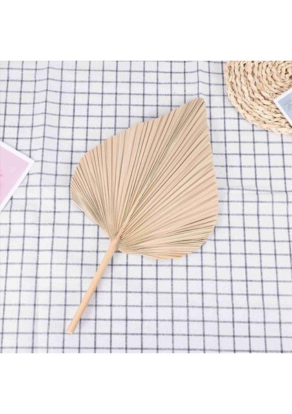 Kurutulmuş Palmiye Oda Dekorunu Bırakır 30 Parça - 18 Inç H x 10INCH W Güzel Bir Boho Görünümü Için Büyük Doğal Palmiye Yaprağı Dekoru (Yurt Dışından)