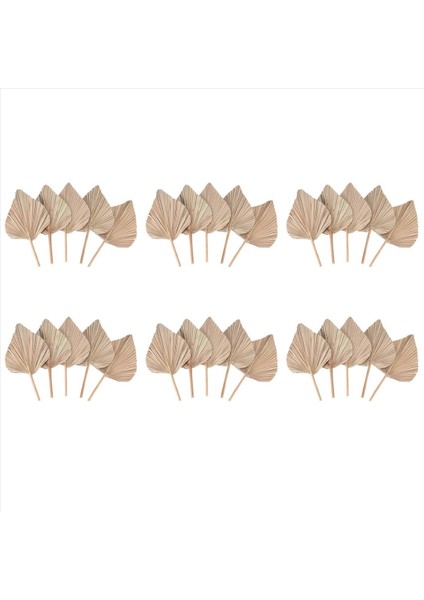 Kurutulmuş Palmiye Oda Dekorunu Bırakır 30 Parça - 18 Inç H x 10INCH W Güzel Bir Boho Görünümü Için Büyük Doğal Palmiye Yaprağı Dekoru (Yurt Dışından) fiyatları