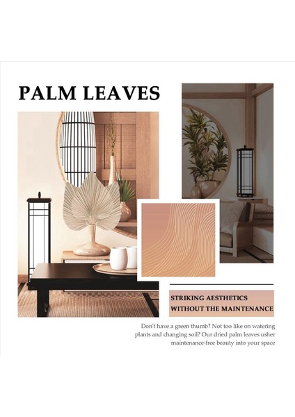 Kurutulmuş Palmiye Oda Dekorunu Bırakır 30 Parça - 18 Inç H x 10INCH W Güzel Bir Boho Görünümü Için Büyük Doğal Palmiye Yaprağı Dekoru (Yurt Dışından) fırsatları