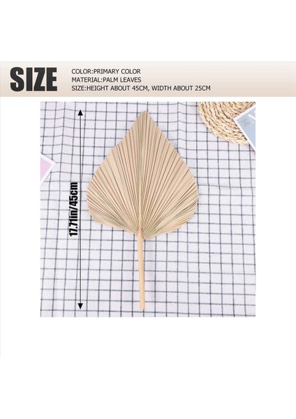 Kurutulmuş Palmiye Oda Dekorunu Bırakır 30 Parça - 18 Inç H x 10INCH W Güzel Bir Boho Görünümü Için Büyük Doğal Palmiye Yaprağı Dekoru (Yurt Dışından) indirimleri
