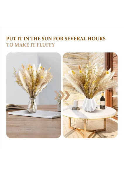 Pampas Çim Dekor 130PCS 17 5 Inç Doğal Kurutulmuş Pampas Bitkileri -Fluffy Kurutulmuş Çiçekler ve Beyaz Pampa (Yurt Dışından) modelleri