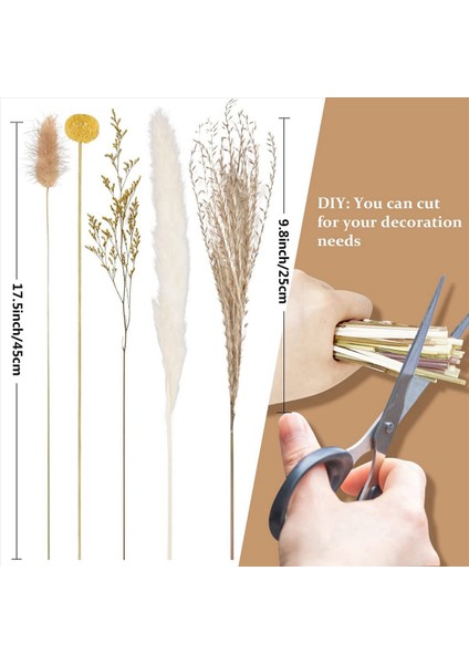 Pampas Çim Dekor 130PCS 17 5 Inç Doğal Kurutulmuş Pampas Bitkileri -Fluffy Kurutulmuş Çiçekler ve Beyaz Pampa (Yurt Dışından) fırsatları