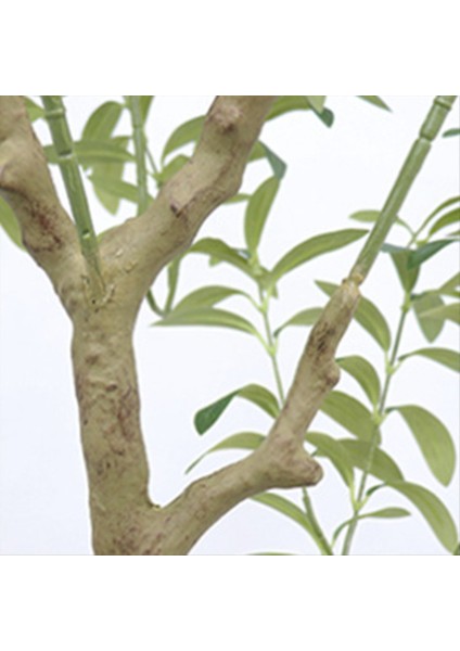 Yapay Zeytin Ağacı Bitki Anti-Tip Koruma Düşük Bakımlı Ev Ağacı Yeşil Bitki Pot (Yurt Dışından) fırsatları