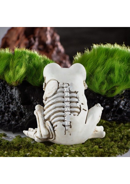 Kurbağa Iskeleti Modeli Cadılar Bayramı Hayvan Iskeleti Heykel Gerçekçi Korkunç Hayvan Iskeleti Dekor Kurbağa Süslemeleri (Yurt Dışından) fiyatları