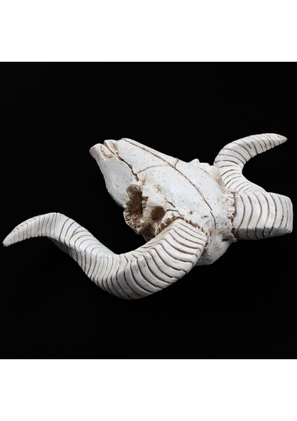 Yin Yang Dream Catcher Dairesel Ağ Tüyler ve Reçine Koyun Baş Kafatası Baş Duvarı Asılı 3D Hayvan Longhorn (Yurt Dışından) fiyatları