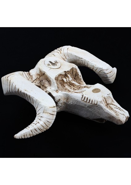 Yin Yang Dream Catcher Dairesel Ağ Tüyler ve Reçine Koyun Baş Kafatası Baş Duvarı Asılı 3D Hayvan Longhorn (Yurt Dışından) fırsatları