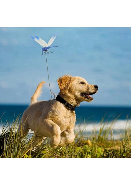 Doğal ve At Sinek Kontrolü Için 3 Renkte 2x Yusufçuk Klips Seti (Yurt Dışından) indirimleri