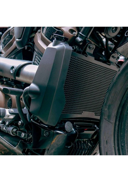 2x Motosiklet Radyatör Koruma Motoru Soğutucu Harley Sportster S RH1250&#39 Ler Için Grille Kapak Koruması 1250 Su Deposu Kalkanı (Yurt Dışından) fiyatları