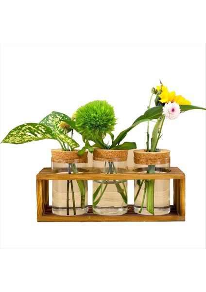 Yayılma Istasyonu Bitki Kesimi Için Cam Bitki Teraryumu Homedcor&#39 U Geliştirir Bitki Aşığı Için Mükemmel Kapalı Merkez Parçası (Yurt Dışından)