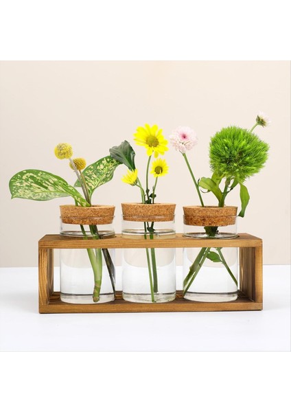 Yayılma Istasyonu Bitki Kesimi Için Cam Bitki Teraryumu Homedcor&#39 U Geliştirir Bitki Aşığı Için Mükemmel Kapalı Merkez Parçası (Yurt Dışından) fırsatları