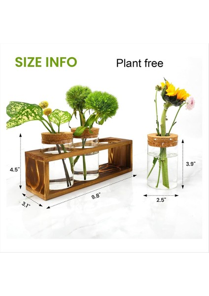Yayılma Istasyonu Bitki Kesimi Için Cam Bitki Teraryumu Homedcor&#39 U Geliştirir Bitki Aşığı Için Mükemmel Kapalı Merkez Parçası (Yurt Dışından) indirimleri