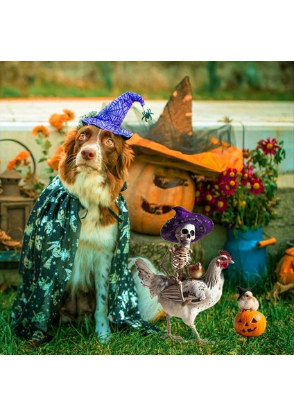 4pcs Cadılar Bayramı Metal Yard Dekorasyon Metal Mahkeme Tabelası Dekor Figürinler Cadılar Bayramı Tavuk Süslemesi Sevimli Dekor (Yurt Dışından) modelleri