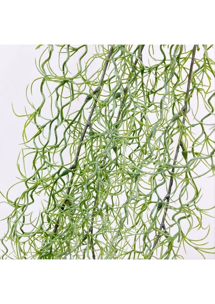 Asılı Yeşil Üzümlerin ve Yeşil Çimenlerin Simülasyonu Sarmaşıklar Sarmaşık Asılı Yeşil Bitkiler Bahçe Duvar Dekorasyonu B (Yurt Dışından) fırsatları